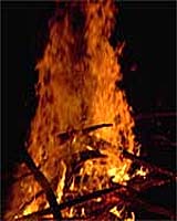 Midsummer Fest Bonfires Banned In Estonian Forests