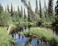 Making Protected Areas Pay Biodiversity Dividends
