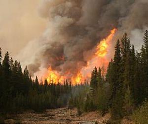 Drying intensifying wildfires, carbon release ninefold