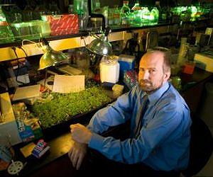 Research team unravels tomato pathogen's tricks of the trade