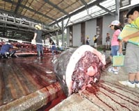 Tokyo district tries to reel in tourists with whale meat