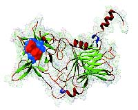 Researchers Develop New Ultrasensitive Assay To Detect Most Poisonous Substance Known