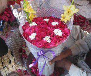 A rosy future for Pakistan's cut flower industry