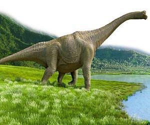 Dinosaurs were warm-blooded reptiles