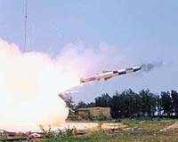Indian tests cruise missile: official