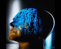 Key To False Memories Uncovered
