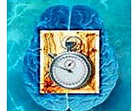 How Does Your Brain Tell The Time