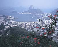Rio airport agents bribed in Chinese immigrant scandal