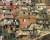 Brazil battles deadly dengue epidemic in Rio
