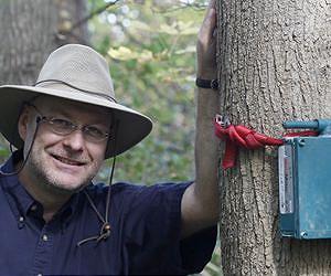 Purdue researcher leads effort to capture natural sounds, coordinate global network