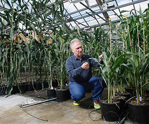Tiny plants could cut costs, shrink environmental footprint
