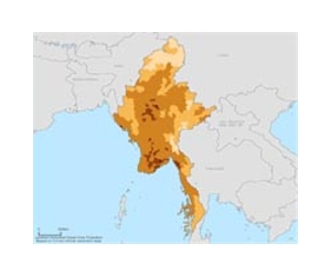 Myanmar nuclear arms drive under way: media