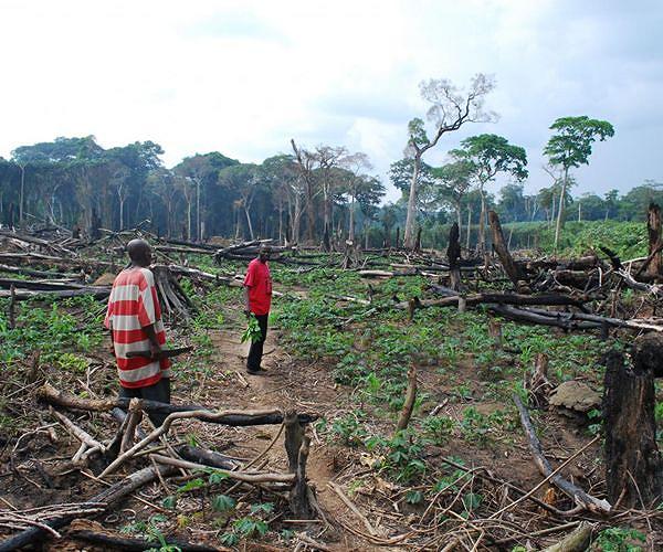 Climate migration study launched in DR Congo capital