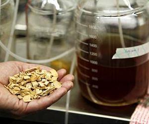 US Biofuel Industry Moves From The Beaker To Barrel