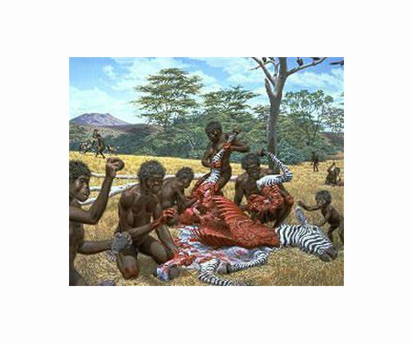 Early human species likely driven to extinction by climate change