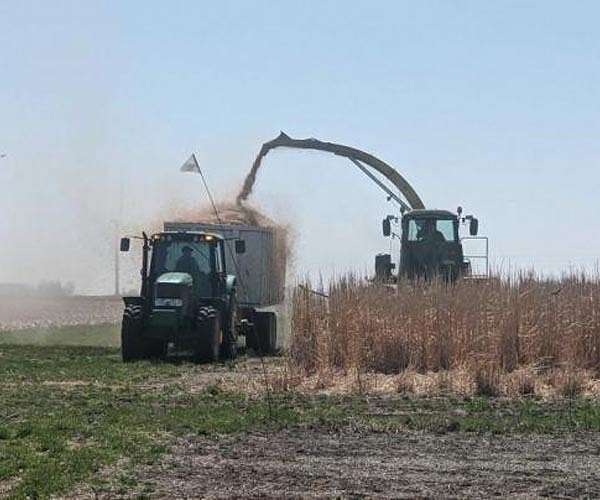 Incentives could turn costs of biofuel mandates into environmental benefits