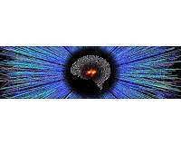Artificial intelligence helps scientists track particles