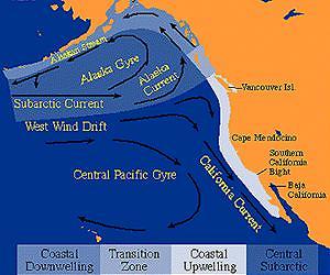 Comprehensive Study Makes Key Findings of Ocean pH Variations