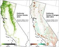 Wildfires emit more greenhouse gases than assumed