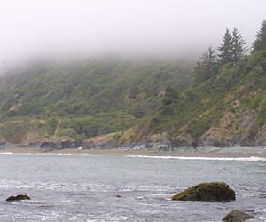 Mercury in coastal fog linked to upwelling of deep ocean water