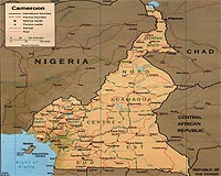 Exciting Opportunities For Independent Power Companies In Cameroon