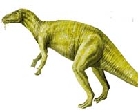 Study Of Dinosaurs Part Of Pitts Plan To Graduate Better Doctors