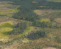 Water loss in northern peatlands threatens to intensify fires, global warming