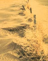 Western Prairies Face Impending Water Crisis