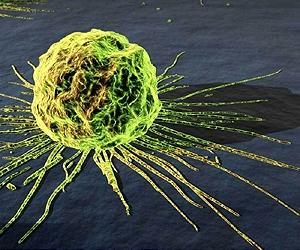 First targeted nanomedicine to enter human clinical studies