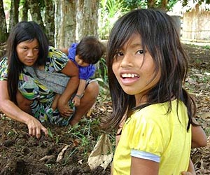 Conflict And Speculation In Tropical Forests Set To Grow