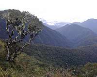 Mountains of life across Planet Earth