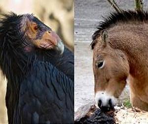Max Planck Researchers Urge More Prominent Role For Zoos