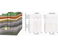 Coda waves reveal carbon dioxide storage plume
