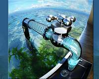 Carbon nanotubes worth their salt