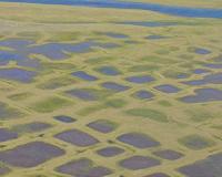 Alaska's North Slope snow-free season is lengthening