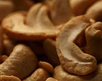Fossilized Cashew Nuts Reveal Europe Was Important Route Between Africa And South America