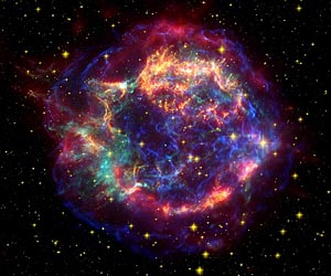 First biological evidence of a supernova