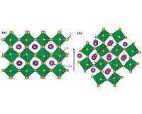 Mapping the energy transport mechanism of chalcogenide perovskite for solar energy use
