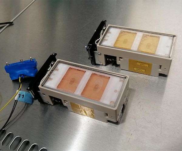 Cellbox-3 launches biomedical experiments to the ISS