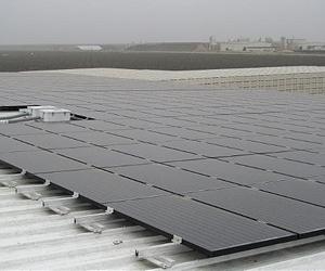 Cenergy Power Provides Solar Power To J. Marchini Farms