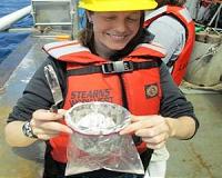 With climate, fertilizing oceans could be zero-sum game