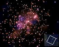 NGC 6231: Stellar Family Portrait in X-rays