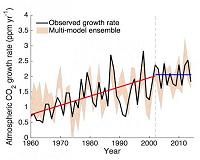 Carbon-hungry plants impede growth rate of atmospheric CO2