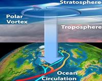 Winter cold extremes linked to high-altitude polar vortex weakening