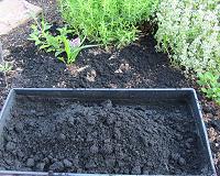 Geophagy: soil-eating as an addictive behaviour
