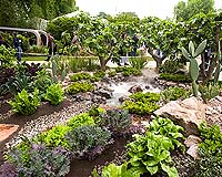 India's secret gardener reveals 18-year labour of love