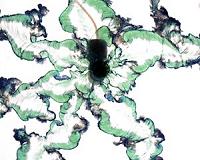 New data on formation of mysterious chemical gardens