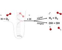 Researchers discover new class of chemical reaction