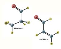 Probable Pathways For Chemical Evolution In Space
