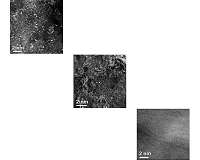 Chemists find metal in 'metal-free' catalysts